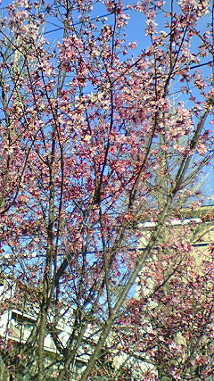 200803111525001.jpg