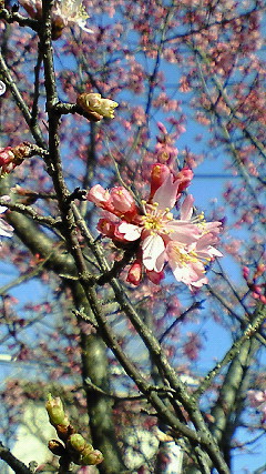200803111526001.jpg