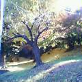 20051207_1225_000.jpg