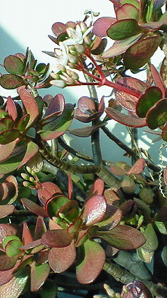 200902030822001.jpg