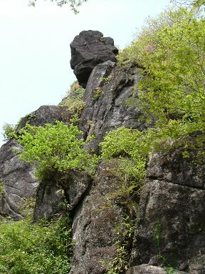 DSCF0311-2.JPG