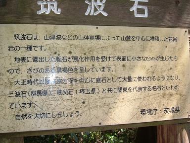 DSCF0347-2.JPG