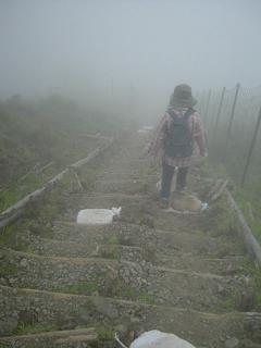 DSCF4430-11.JPG