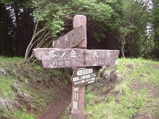 DSCF4437-11.JPG