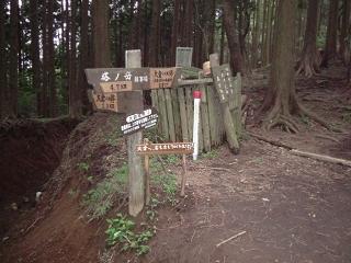 DSCF4443-11.JPG