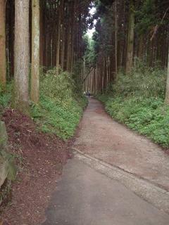 DSCF4445-11.JPG