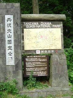 DSCF4451-11.JPG