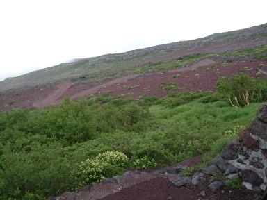 DSCF4553-1.JPG