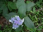 DSCF4902-1.JPG