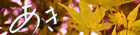 aki-banner02.jpg